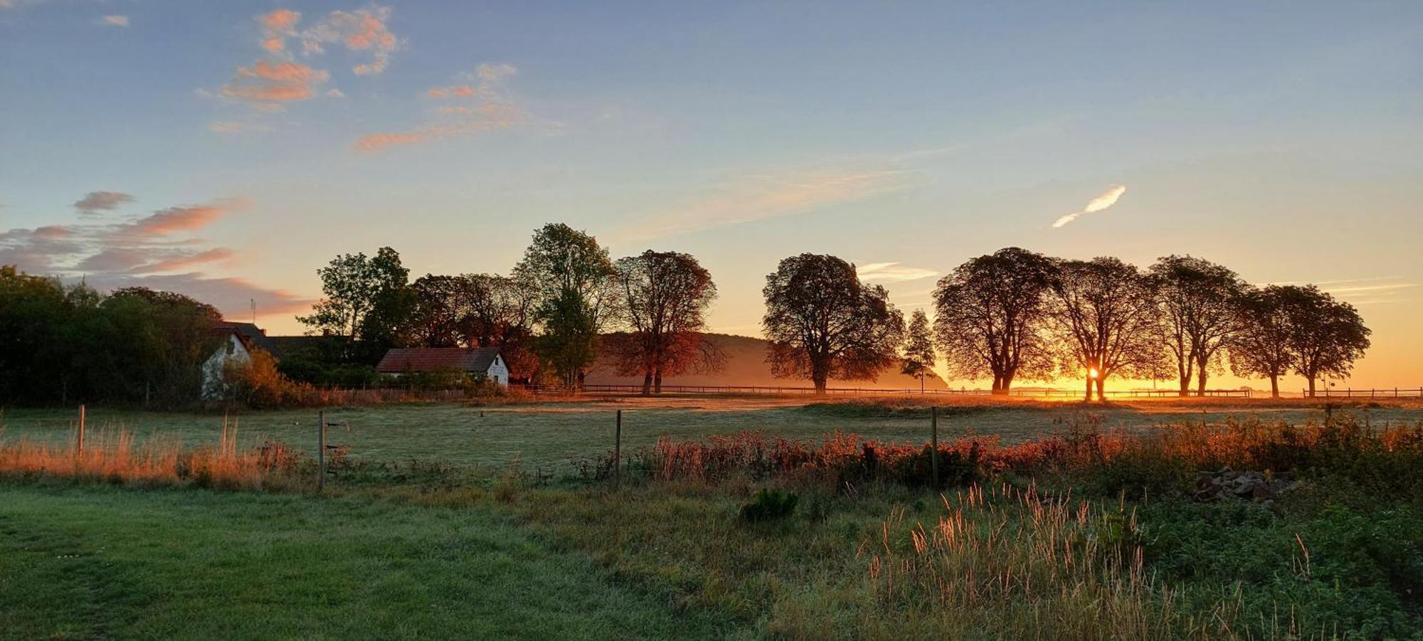 Apartment Lantligt Och Lugnt Naera Och Svedala