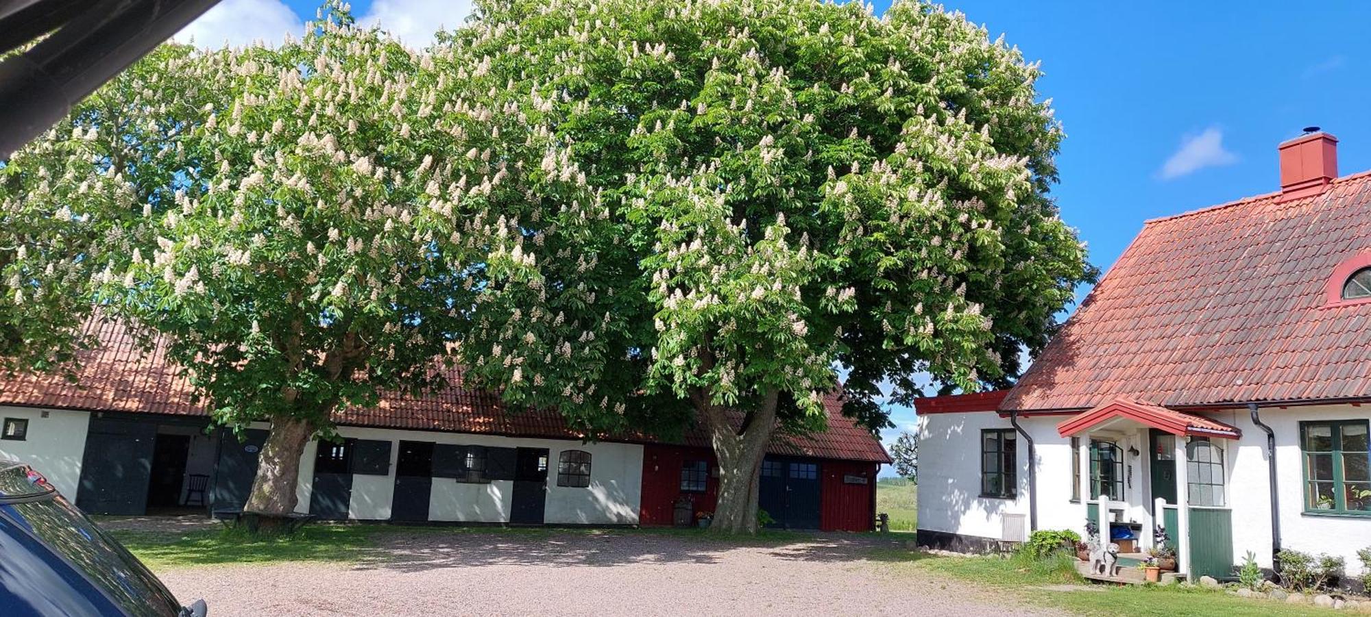Apartment Lantligt Och Lugnt Naera Och *