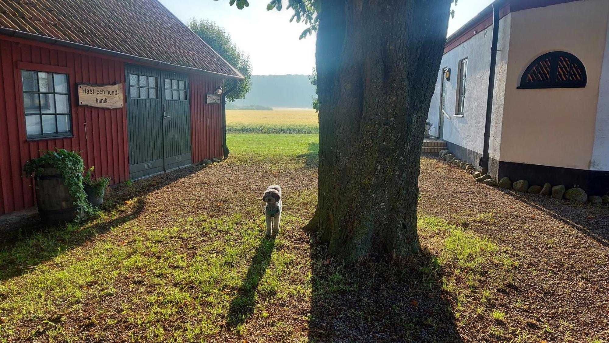 Apartment Lantligt Och Lugnt Naera Och *